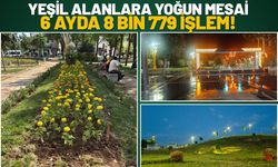 Yeşil Alanlara Yoğun Mesai: 6 Ayda 8 Bin 779 İşlem!
