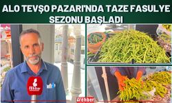 Alo Tevşo Pazarı'nda Taze Fasulye Sezonu Başladı