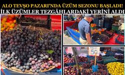 Alo Tevşo Pazarı'nda Üzüm Sezonu Başladı! İlk Üzümler Tezgâhlardaki Yerini Aldı