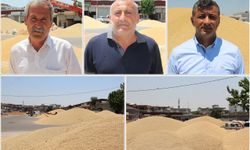 Batman'da buğday piyasası kilitlendi: Üretici ve tüccardan TMO'ya 'ÇKS' çağrısı