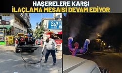 Batman'da Haşerelere Karşı İlaçlama Mesaisi Devam Ediyor