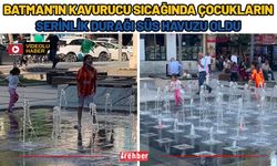 Batman'ın Kavurucu Sıcağında Çocukların Serinlik Durağı Süs Havuzu Oldu