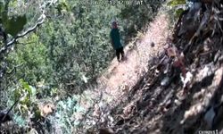 Serokê navçeya CHPê ya Dîyarbekirê esrarê çand
