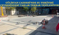 Gülistan Caddesi'nde Su Fıskiyesi Çevresindeki Taşlar Tekrar Yenileniyor