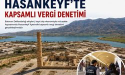 Hasankeyf'te Vergi Denetimi: 111 İşletme İncelendi