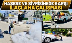 Batman’da Haşere ve Sivrisineğe Karşı İlaçlama Çalışması