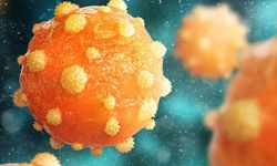 Hepatitler hakkında doğru bilinen yanlışlar