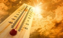İspanya'da sıcaklık rekoru: 65 yılın en sıcak ilk yarısı, yaklaşık 900 can kaybı
