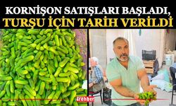 Kornişon Satışları Başladı, Turşu İçin Tarih Verildi