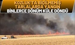 Kozluk’ta Biçilmemiş Tarlalarda Yangın: Binlerce Dönüm Küle Döndü