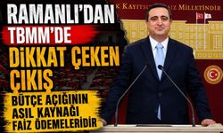 Ramanlı'dan TBMM'de Dikkat Çeken Çıkış: "Bütçe Açığının Asıl Kaynağı Faiz Ödemeleridir"