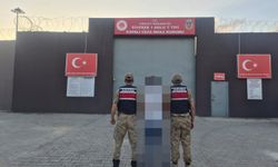 Şanlıurfa'da kasten öldürme suçundan aranan hükümlü yakalandı