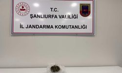 Şanlıurfa'da uyuşturucu operasyonu: Bir gözaltı