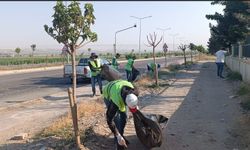 Çevre Yolunda Yangın Riskine Karşı Kapsamlı Temizlik