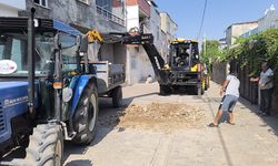 Batman'da Bozulan Yol ve Kaldırımlar Yenileniyor