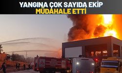 Yangına Çok Sayıda Ekip Müdahale Etti