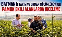 Batman İl Tarım ve Orman Müdürlüğü’nden Pamuk Ekili Alanlarda İnceleme