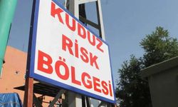 3 yaşındaki çocukta kuduz vakası tespit edildi