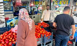 10 Liralık Domatesi Bulan Vatandaş Fırsatı Kaçırmıyor