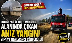 Batman Park ve Bahçeler Müdürlüğü Alanında Çıkan Anız Yangını İtfaiye Ekiplerince Söndürüldü