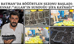 Batman’da Böğürtlen Sezonu Başladı: Esnaf: “Allah’ın Sunduğu Şifa Kaynağı”
