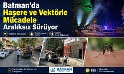 Batman’da Haşere ve Vektörle Mücadele Aralıksız Sürüyor