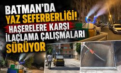 Batman’da Yaz Seferberliği! Haşerelere Karşı İlaçlama Çalışmaları Sürüyor