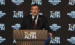 Cumhurbaşkanı Yardımcısı Yılmaz: Ağrı'daki altın madeninde ilk 5 yılda 17 ton altın üretilecek