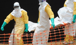 DSÖ: Kongo'da Ebola vakalarının sayısı 5 bin 794'e ulaştı