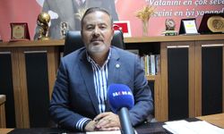 Fıstık hasadı başladı, üretici fiyat ve rekolte endişesi yaşıyor