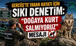 Gercüş’te Yaban Hayatı İçin Sıkı Denetim: “Doğaya Kurt Salmıyoruz”