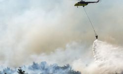 İzmir Ödemiş'te orman yangını