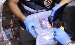 Kapıkule'de bir tırda 810 kilo uyuşturucu ele geçirildi