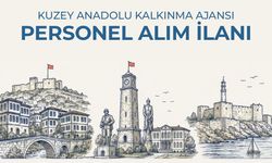 Kuzey Anadolu Kalkınma Ajansı Personel Alacak! Başvurular İçin Son Tarih 4 Eylül