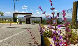 Batman Üniversitesi 20. Yılına Hazırlanıyor