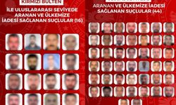 Yurt dışında aranan 60 suçlu Türkiye'ye getirildi