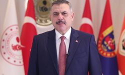 Bakan Çiftçi: Kırmızı bültenle aranan 22 şahıs yakalandı