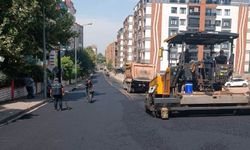 Batman Belediyesi Ulaşım İçin Sahada: Kent Geneli Yol ve Asfalt Çalışması