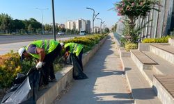 Batman Belediyesi'nden 227 Parkta Sonbahar Seferberliği