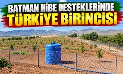Batman Hibe Desteklerinde Türkiye Birincisi