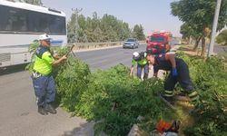Batman-Silvan yolunda fırtına nedeniyle ağaçlar devrildi