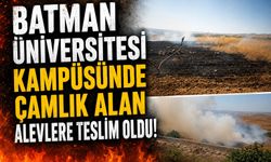 Batman Üniversitesi Kampüsünde Çamlık Alan Alevlere Teslim Oldu