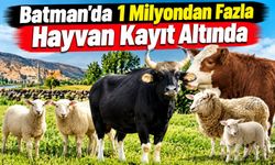 Batman’da Bir Milyondan Fazla Hayvan Kayıt Altında
