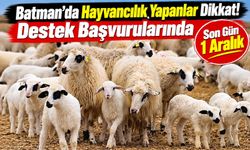 Batman’da Hayvancılık Yapanlar Dikkat! Destek Başvurularında Son Gün 1 Aralık
