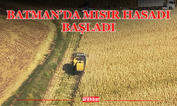 Batman’da Mısır Hasadı Başladı