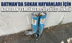 Batman’da Sokak Hayvanları İçin Konulan Yemlikler Çöplüğe Döndü