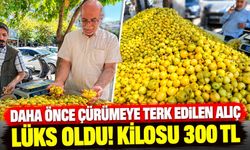 Daha Önce Çürümeye Terk Edilen Alıç Lüks Oldu! Kilosu 300 TL