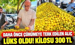 Daha Önce Çürümeye Terk Edilen Alıç Lüks Oldu! Kilosu 300 TL