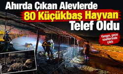 Ahırda Çıkan Alevlerde 80 Küçükbaş Hayvan Telef Oldu