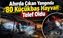 Ahırda Çıkan Yangında 80 Küçükbaş Hayvan Telef Oldu